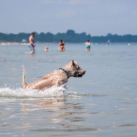 Zur alten Schmiede I Links Ostseebad Boltenhagen Exterior foto